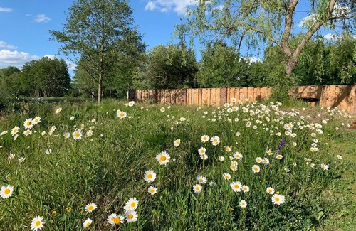 Vetschau/Spreewald Apartment | Vacation apartment/apartment for 5 guests with 89m² in Vetschau/Spreewald (168268)