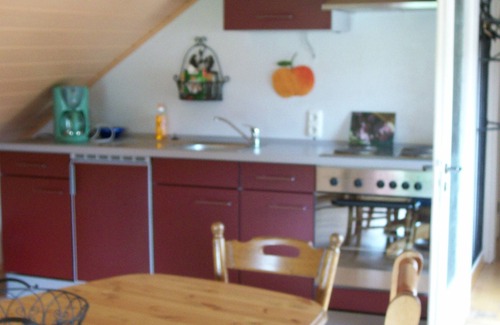 Piesport Apartment | Vacation apartment with wonderful view of the Moselle, quiet location, garden, parking, wifi