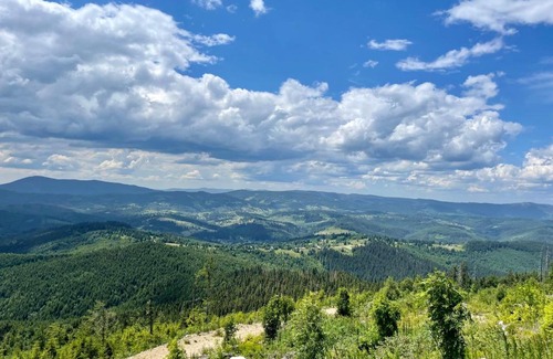 Myslivka Hotel | Vedmid