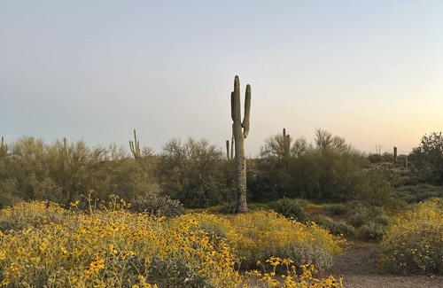 Apache Junction House | Vega 02: A spacious, 3-bedroom desert oasis stay, Vega #2