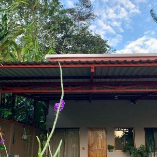 Bijagua Apartment | Verde Amanecer