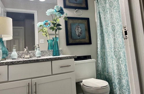 Piedmont Heights Apartment | Vibrant and Cheerful 2 bedroom in Midtown