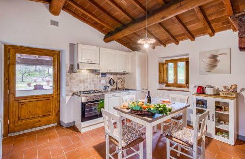 Chiocchio Apartment | Vigna Home Amazing Site Chianti Classico - Happy Rentals