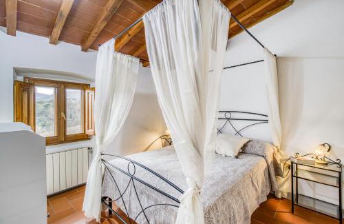 Chiocchio Apartment | Vigna Home Amazing Site Chianti Classico - Happy Rentals