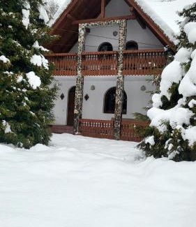 Cartisoara House | Vila Luca's