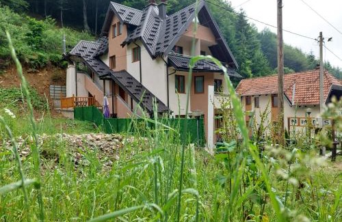 Kopaonik Apartment | Vila MMBS