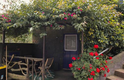 Bretanha Apartment | Vila Pilar Vulcão - Rural Cottage in the Countryside of São Miguel