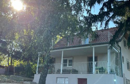 Petrovaradin House | Vila Vera Novosadska 15