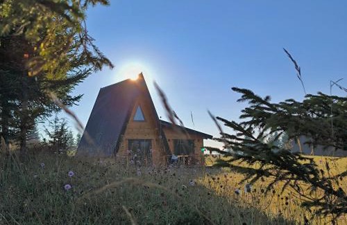 Zabljak House | Vila Vida