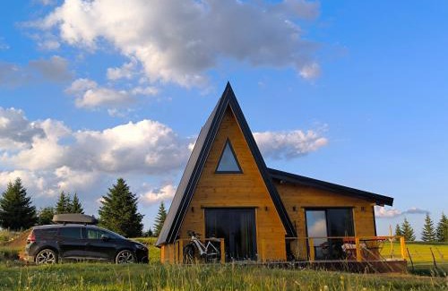 Zabljak House | Vila Vida