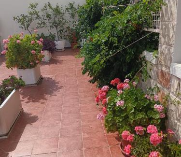Petrovac Villa | Vila Vukotić