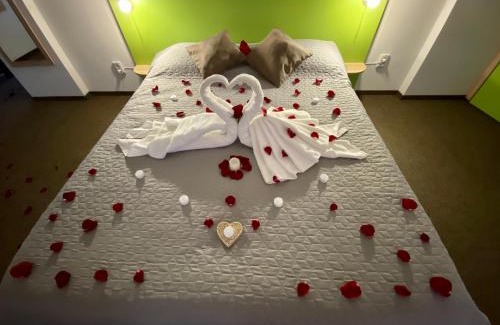 Brasov Hotel | Vila William’s