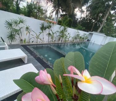 Polhena Villa | Villa 2A