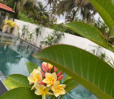 Polhena Villa | Villa 2A