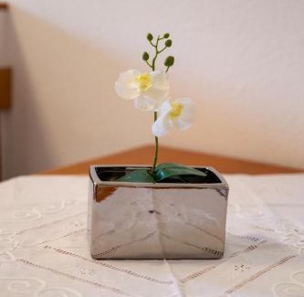 Tucepi Apartment | Villa Alesa Steva