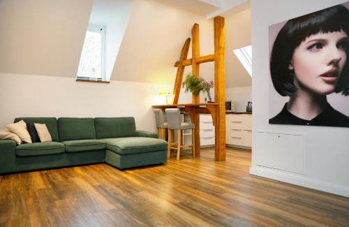 Bad Wildungen Apartment | Villa Alexandra 1897 Anna