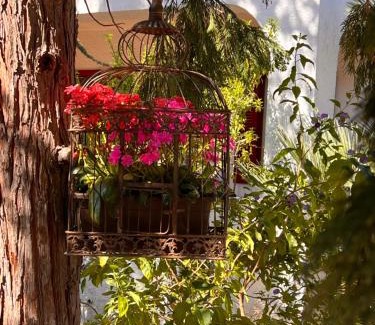Bisceglie House | Villa Anna