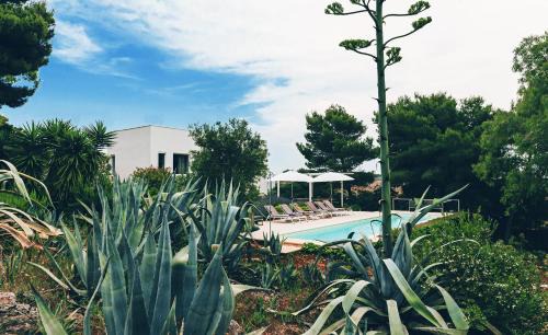 Centro Storico Villa | Villa Calipso - Homelike Villas