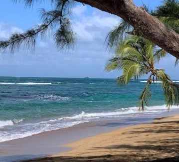 Tartane Apartment | Villa Créole T2 à Tartane anse l étang