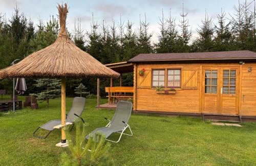 Anyksciai House | Villa de Alvydo Anykščiuose
