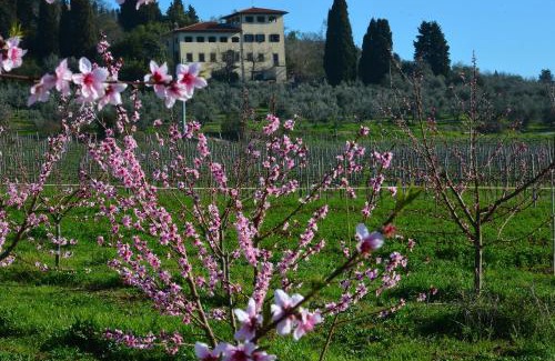 Rignano sull'Arno House | Villa dei Sogni