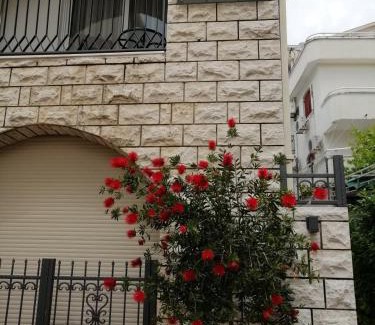 Velji Vinogradi House | Villa DiEden