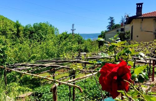 Obrs Apartment | Villa Flamingo Mošćenička Draga