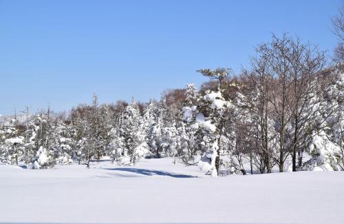 Shiga Highlands Hotel | Villa Ichinose