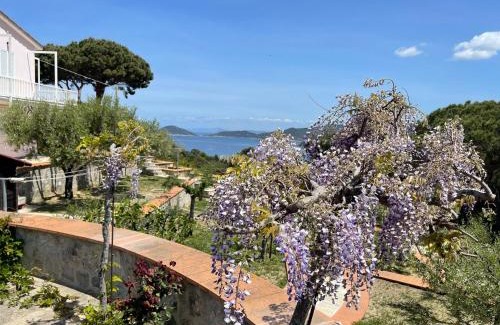 Marciana House | Villa Il Roseto Redinoce