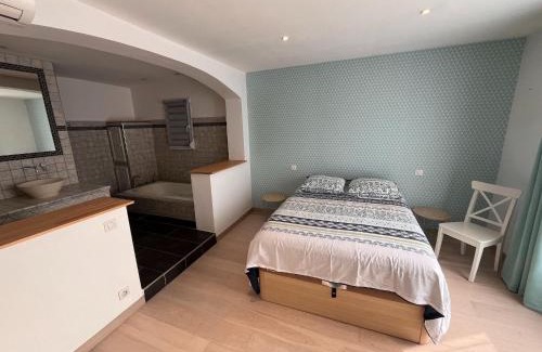 Vidauban House | Villa in Vidauban with Private Pool