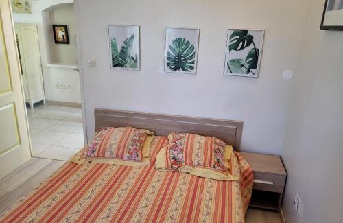 Vidauban Villa | Villa in Vidauban with Pool and BBQ Terrace