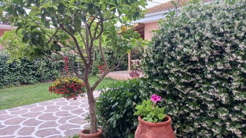 Parga Apartment | Villa Ioannidis