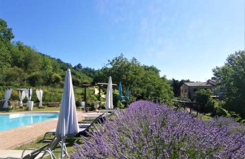 Assisi House | Villa Le Ginestre Assisi