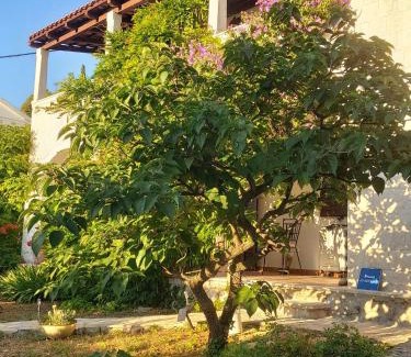 Sutivan Villa | Villa Lorena