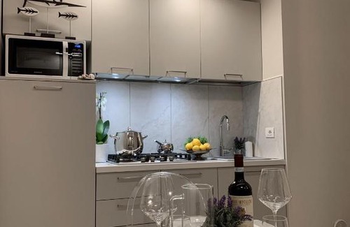 Torre del Lago Puccini Apartment | Villa Luminosa