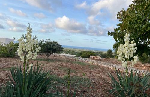 Ostuni House | Villa Mimì