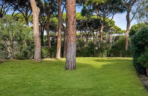 Roccamare Villa | Villa Nannia Beautiful Roccamare Private Beach