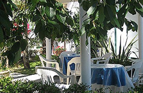 Sorrento Apartment | Villa Orchidea