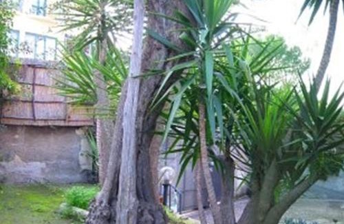 Sorrento Apartment | Villa Orchidea