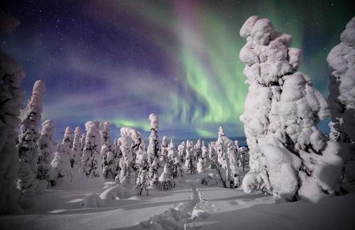 Rukatunturi Villa | Villa Saarua by the Slopes Ski in, Family & Bike Park, hike trails, National Park, WiFi - Lapland Villas