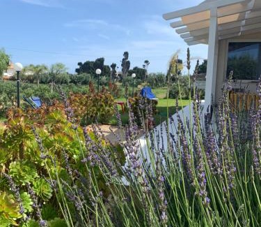 Noto House | Villa Tra Mare e Ulivi