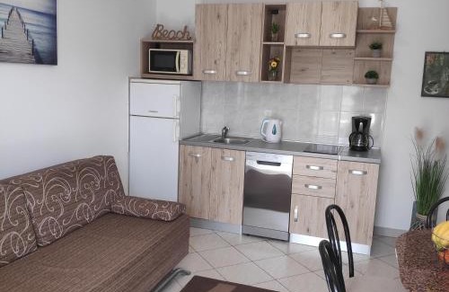 Zrce Apartment | Villa with pool Petra & Sanja