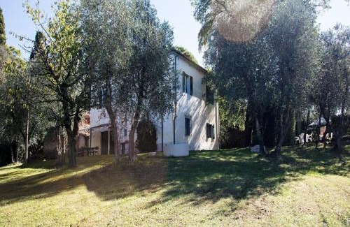 Ghizzano House | Vino, Views and Relaxing Stay