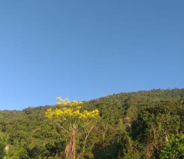 Ilha Grande House | Visual do Abraão