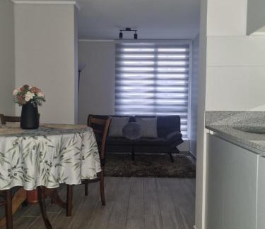 Downtown Santiago Apartment | Vive la música del Movistar y relájate como en casa