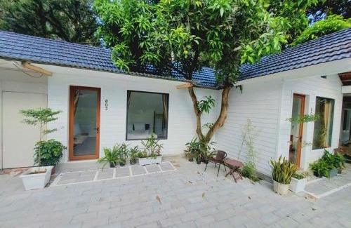 Hoa Lu Apartment | Vivian riverside cottage - Ninh Bình