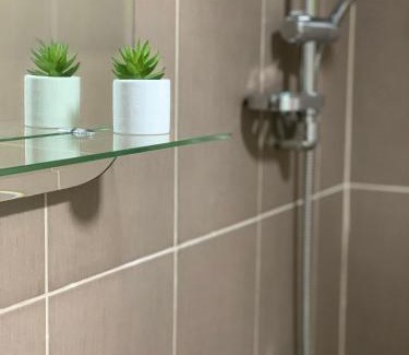 Vrnjacka Banja Apartment | Vlajkovic apartmani 2
