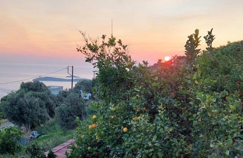 Kato Aprovatou Apartment | Vlami's House Andros