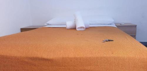 Rione XVIII Castro Pretorio House | Volturno Guest House