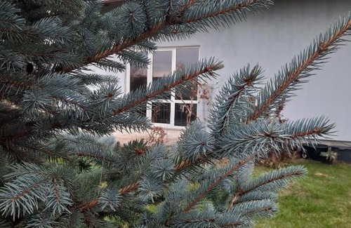 Puck Apartment | Władysławowo Łebcz Modrzewiowa
